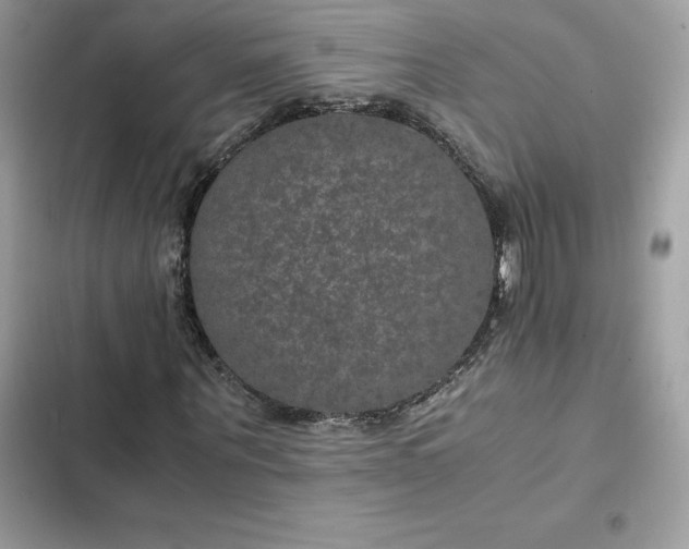 X0000102380867200808151855