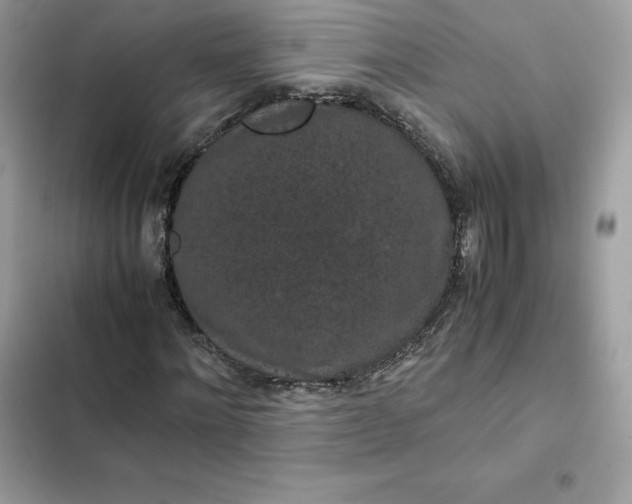 X0000102380868200808151855