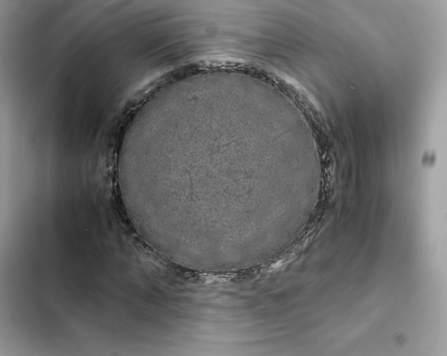 X0000102380870200808151855