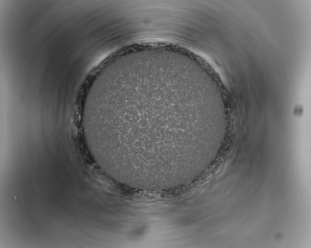 X0000102380871200808151855