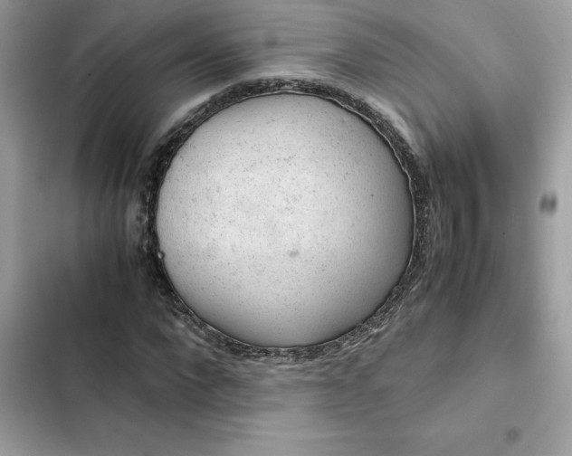 X0000102380872200808151855