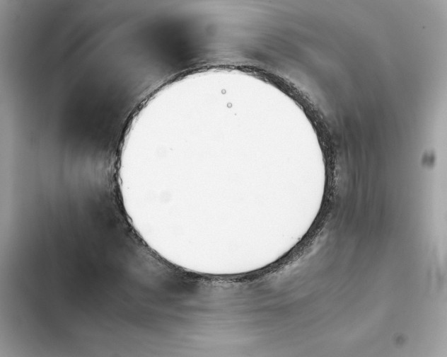 X0000102380873200808151855