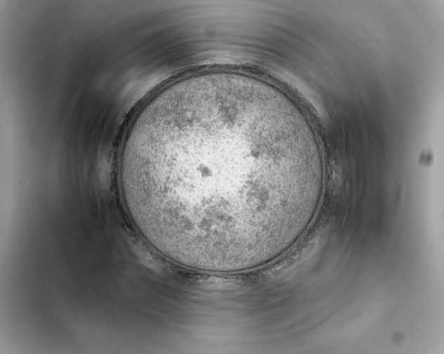 X0000102380874200808151855