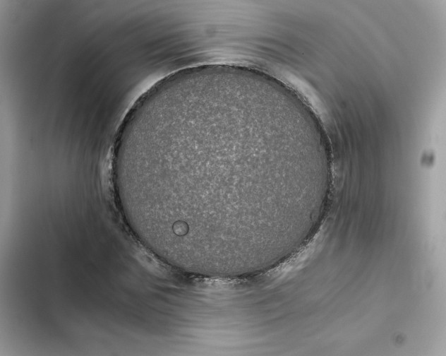 X0000102380875200808151855