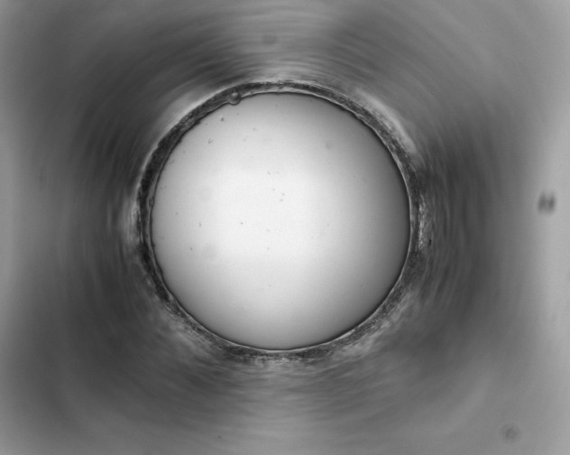 X0000102380876200808151855