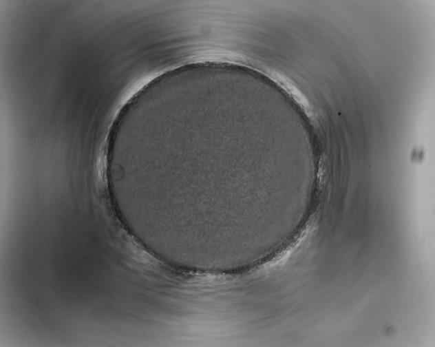 X0000102380877200808151855