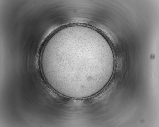 X0000102380878200808151855