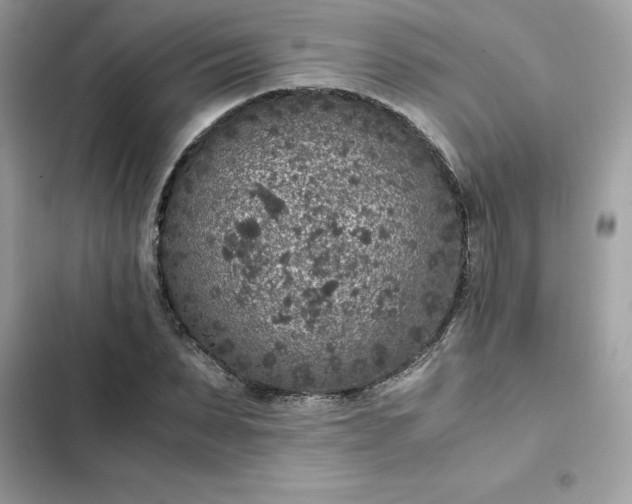 X0000102380879200808151855