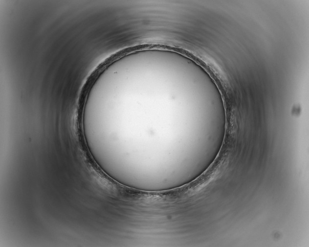 X0000102380880200808151855