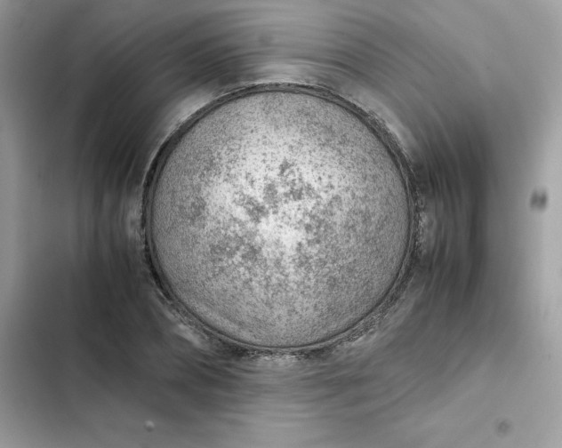 X0000102380882200808151855