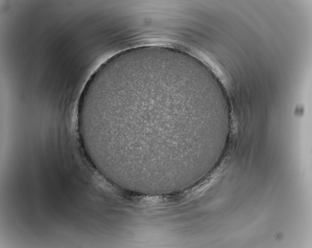 X0000102380883200808151855