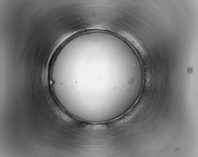 X0000102380884200808151855