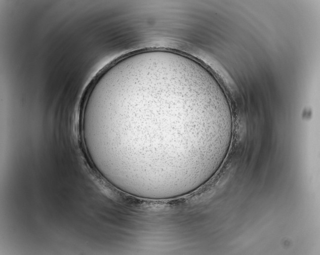 X0000102380886200808151855