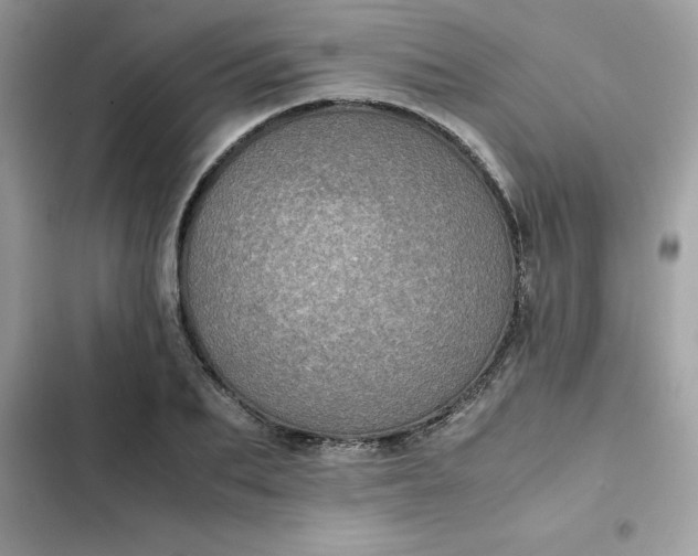 X0000102380887200808151855