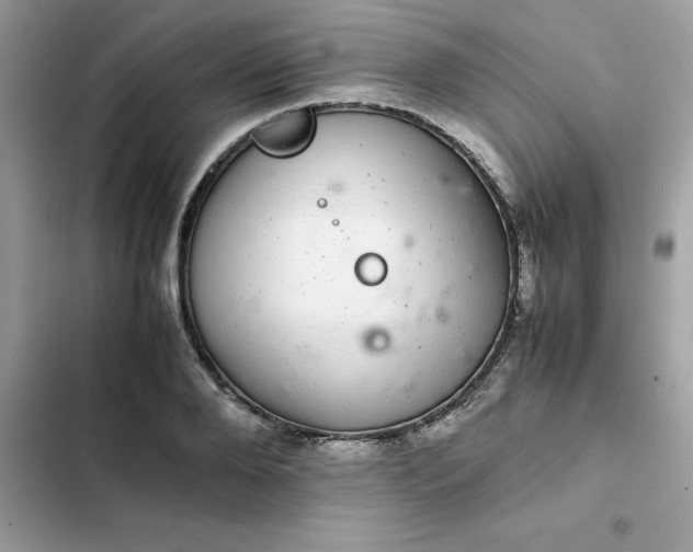 X0000102380888200808151855