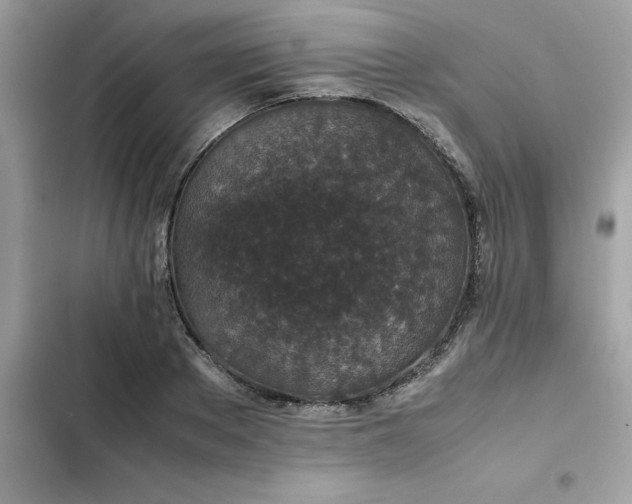 X0000102380889200808151855