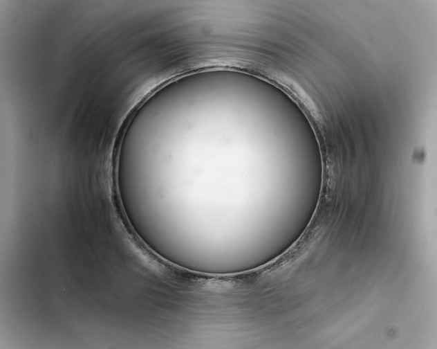 X0000102380890200808151855