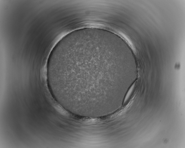 X0000102380891200808151855