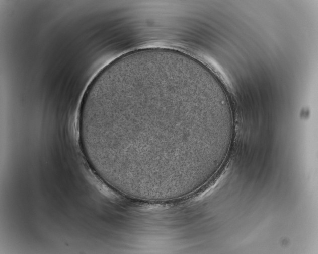 X0000102380892200808151855