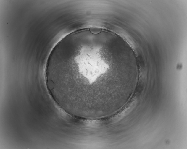 X0000102380893200808151855