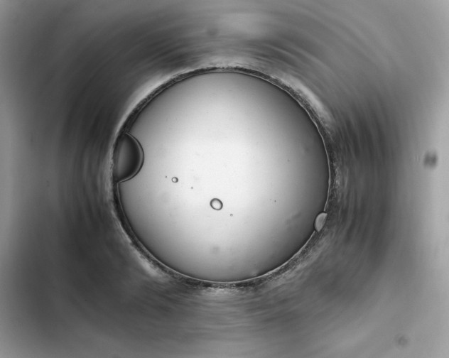 X0000102380894200808151855