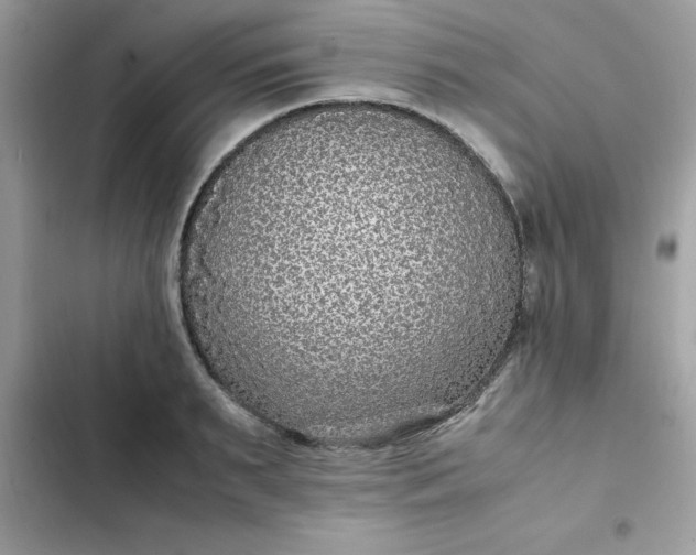 X0000102380895200808151855