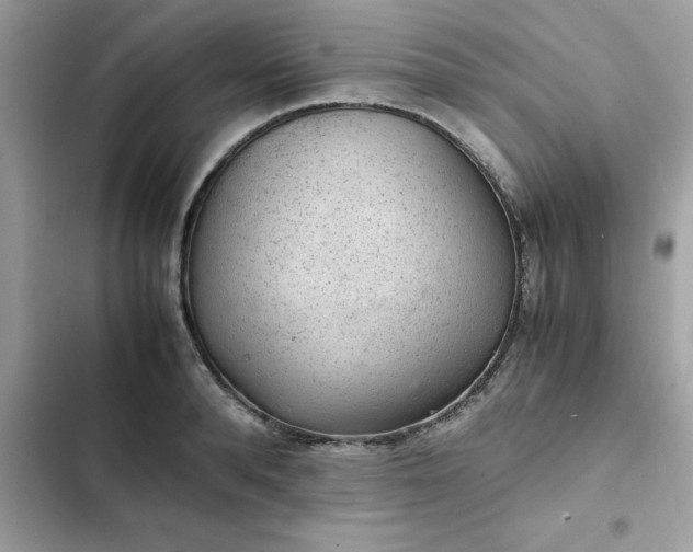 X0000102380896200808151855