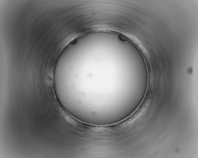 X0000102380897200808151855