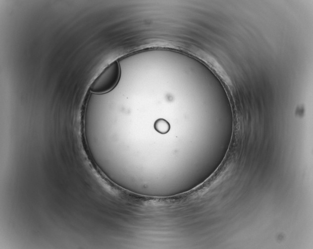 X0000102380898200808151855