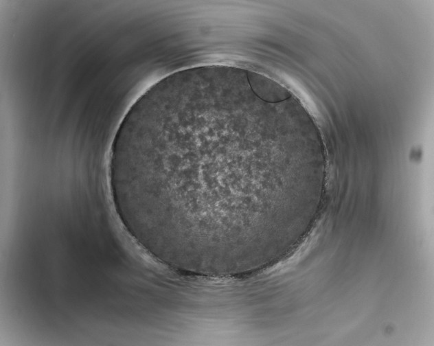 X0000102380899200808151855