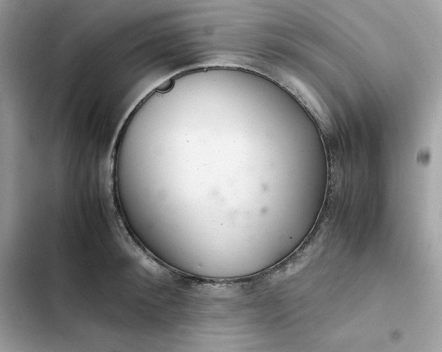 X0000102380900200808151855