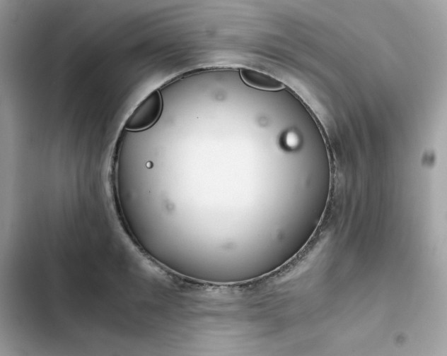 X0000102380901200808151855