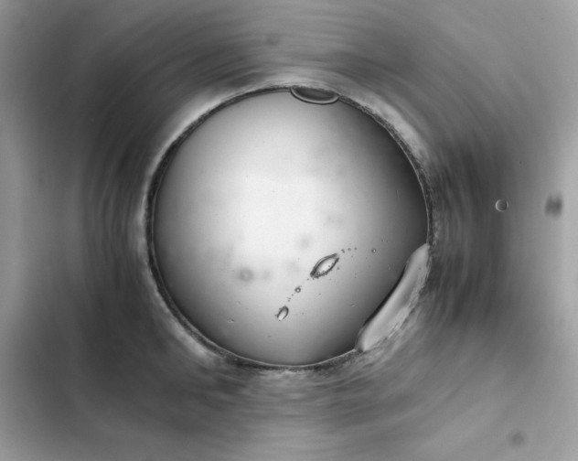 X0000102380902200808151855