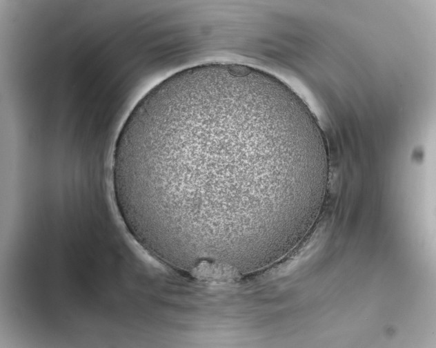 X0000102380903200808151855