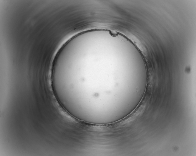 X0000102380904200808151855