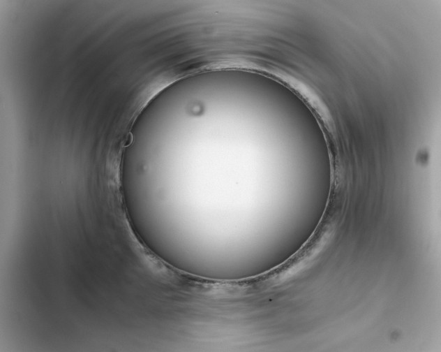 X0000102380905200808151855