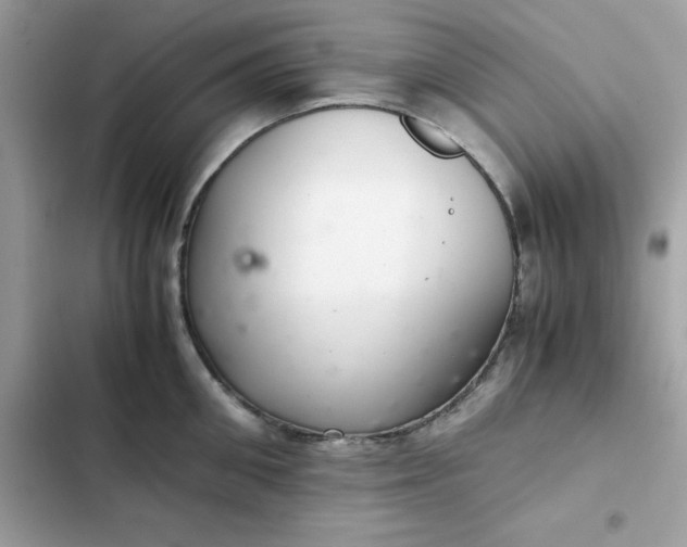 X0000102380906200808151855