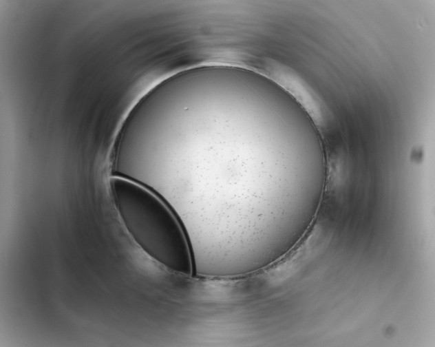 X0000102380908200808151855