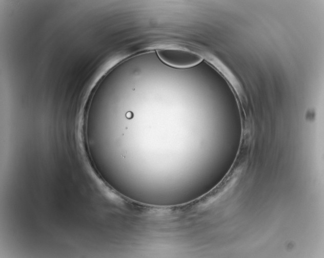 X0000102380909200808151855