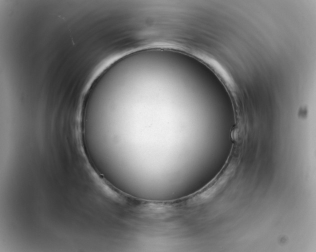 X0000102380910200808151855