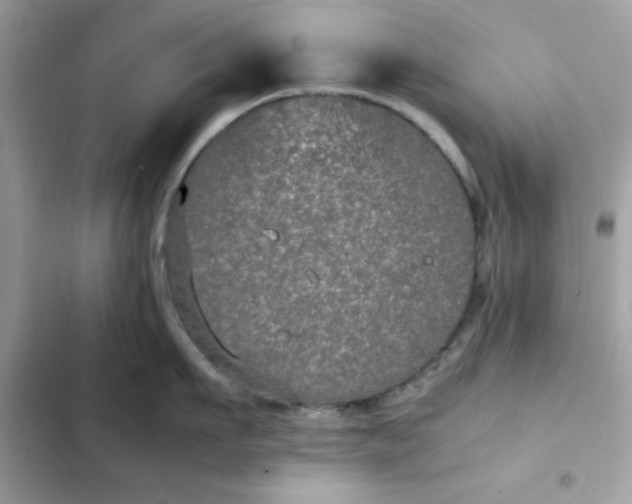 X0000102380911200808151855