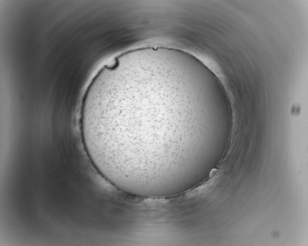 X0000102380912200808151855