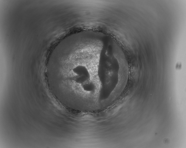 X0000102380913200808151854