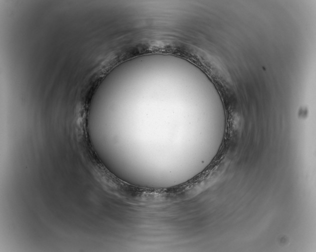 X0000102380914200808151854