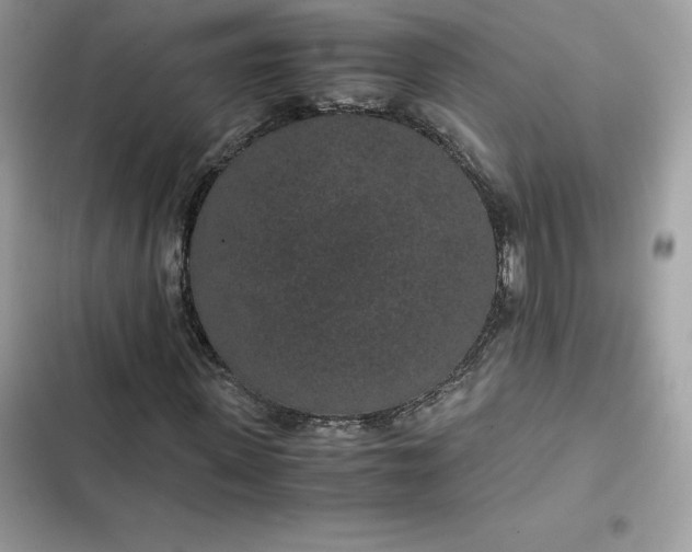 X0000102380915200808151854