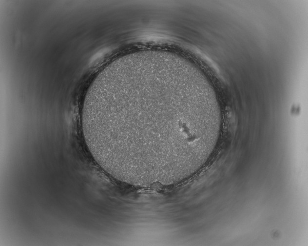 X0000102380918200808151854