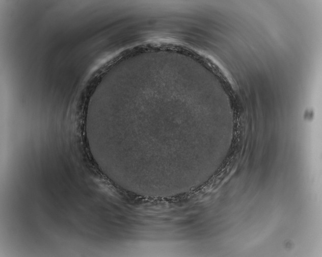 X0000102380919200808151854