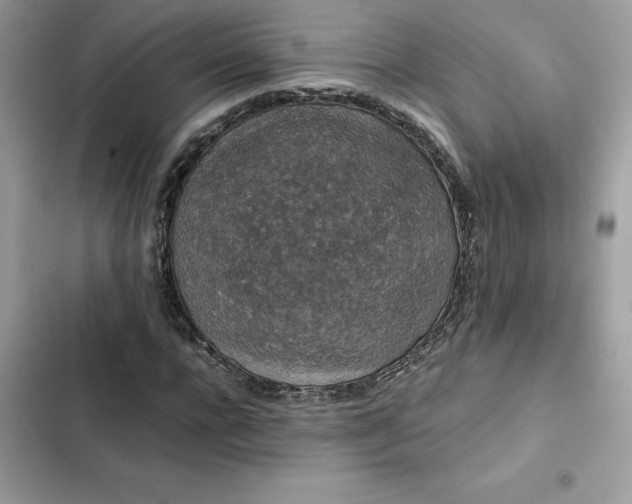 X0000102380920200808151854