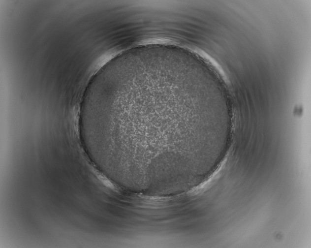 X0000102380921200808151854