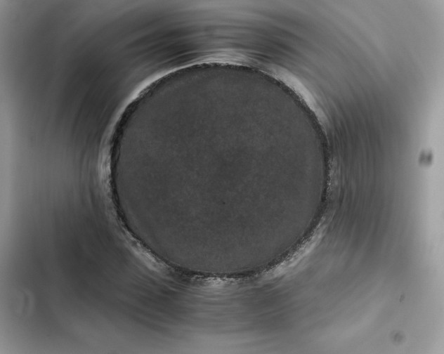 X0000102380923200808151854